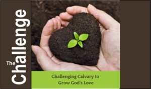 Spring Discipleship Challenge